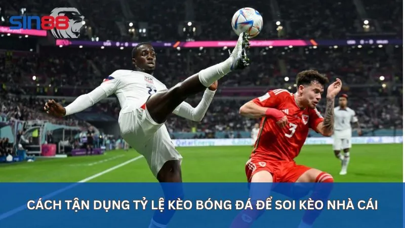 Cách tận dụng tỷ lệ kèo bóng đá để soi kèo nhà cái