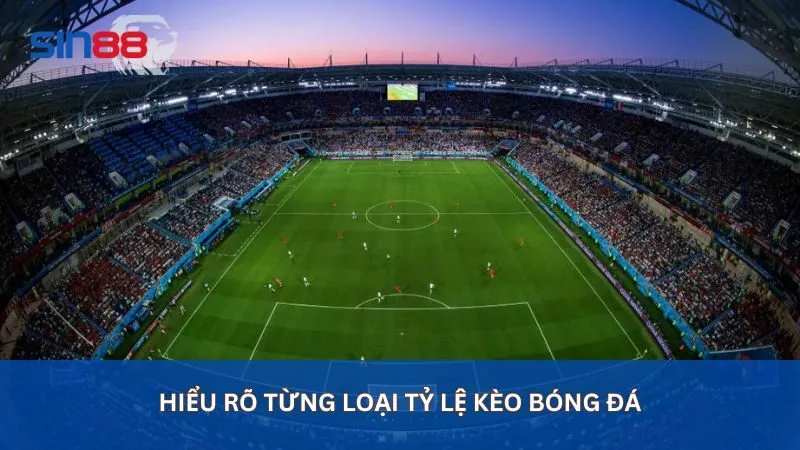 Chi tiết cách hiểu rõ từng loại tỷ lệ kèo bóng đá